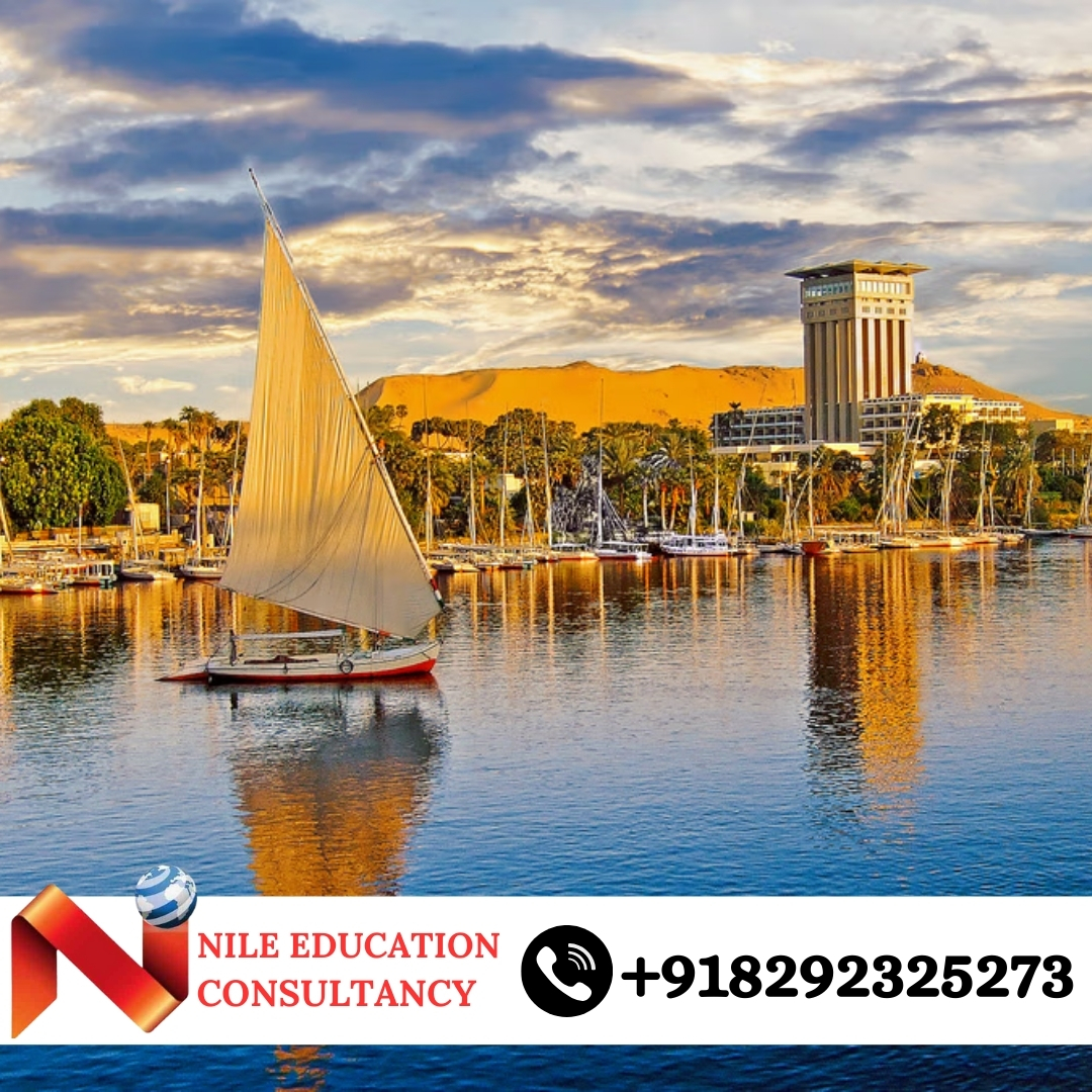 Mansoura University Mansoura, Egypt State